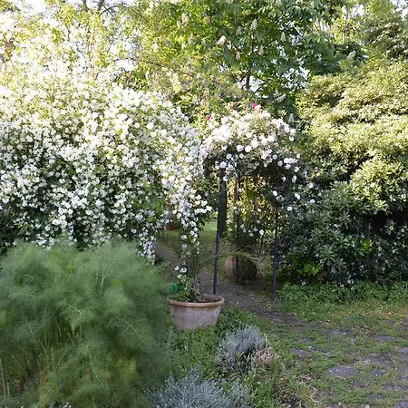 Relais De Charme - Short Lets La Casa Di Francesca 住宿加早餐酒店 Sant'Agata Li Battiati